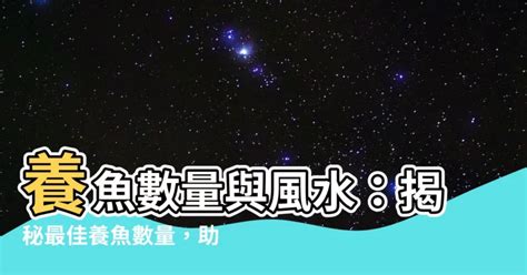 風水養魚數量|【養魚數量 風水】養魚數量與風水：揭秘最佳養魚數量，助你招。